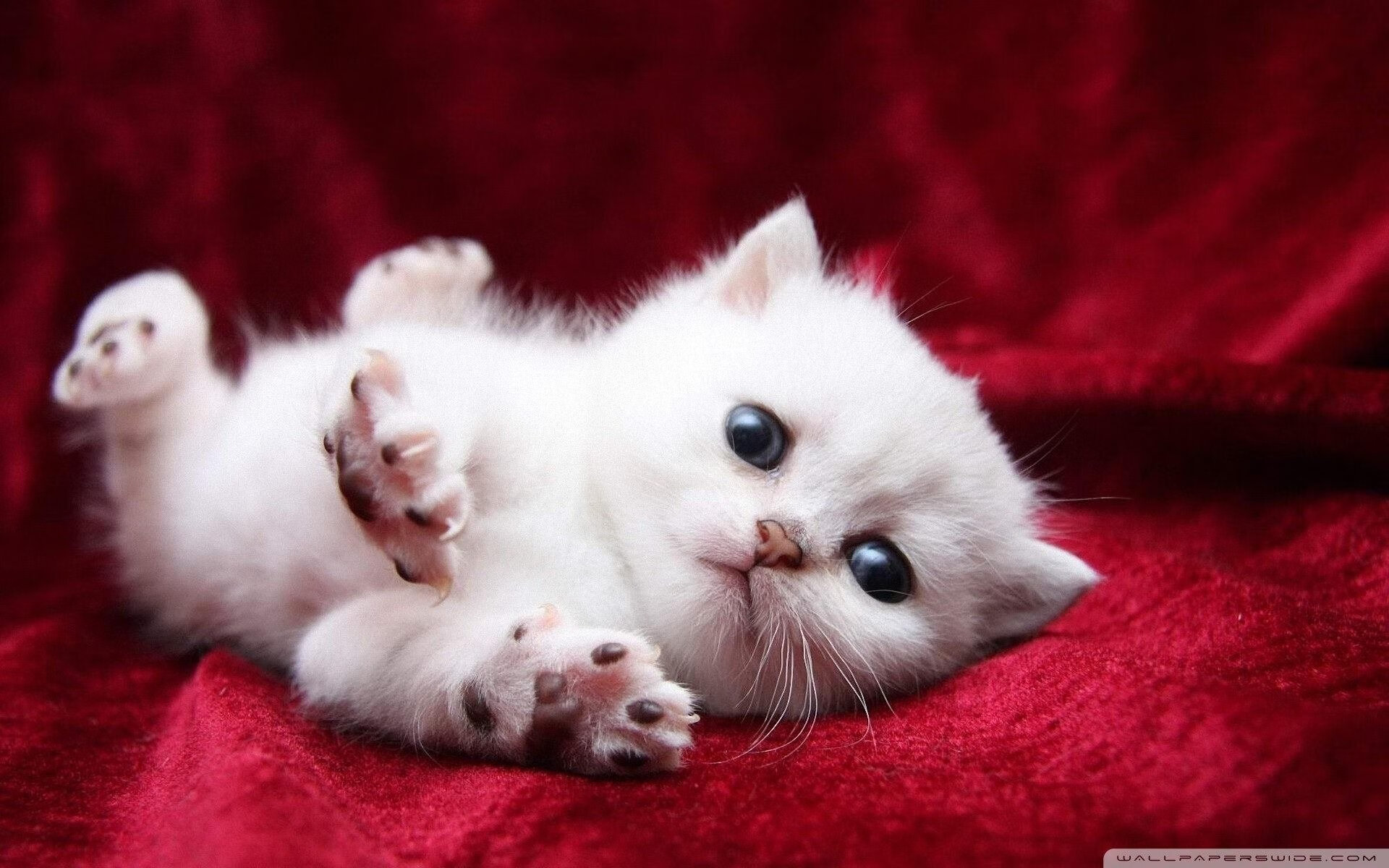 城市引擎与地面战靴，当F1极速呼啸遇上篮球汗水飞溅