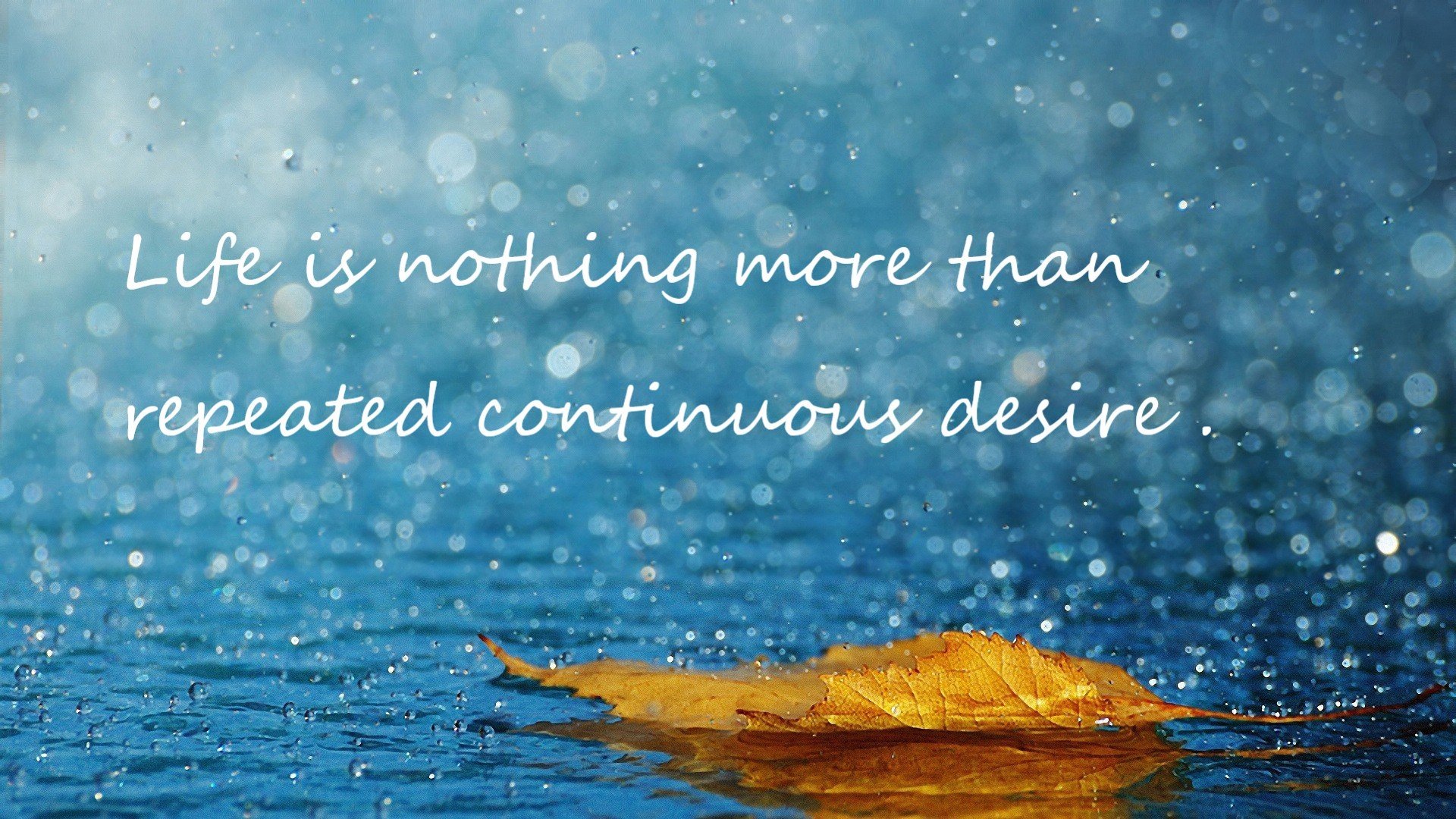 从哥本哈根到马德里，当北欧力量撞上东方意志