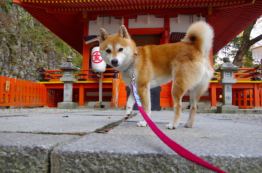 绿茵与硬木,欧冠的宿命之夜与迈阿密热火的冰冷碾压