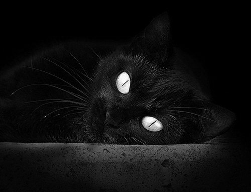 魔法师军团与完美音符,特奥奏响黄潜艇狂想曲