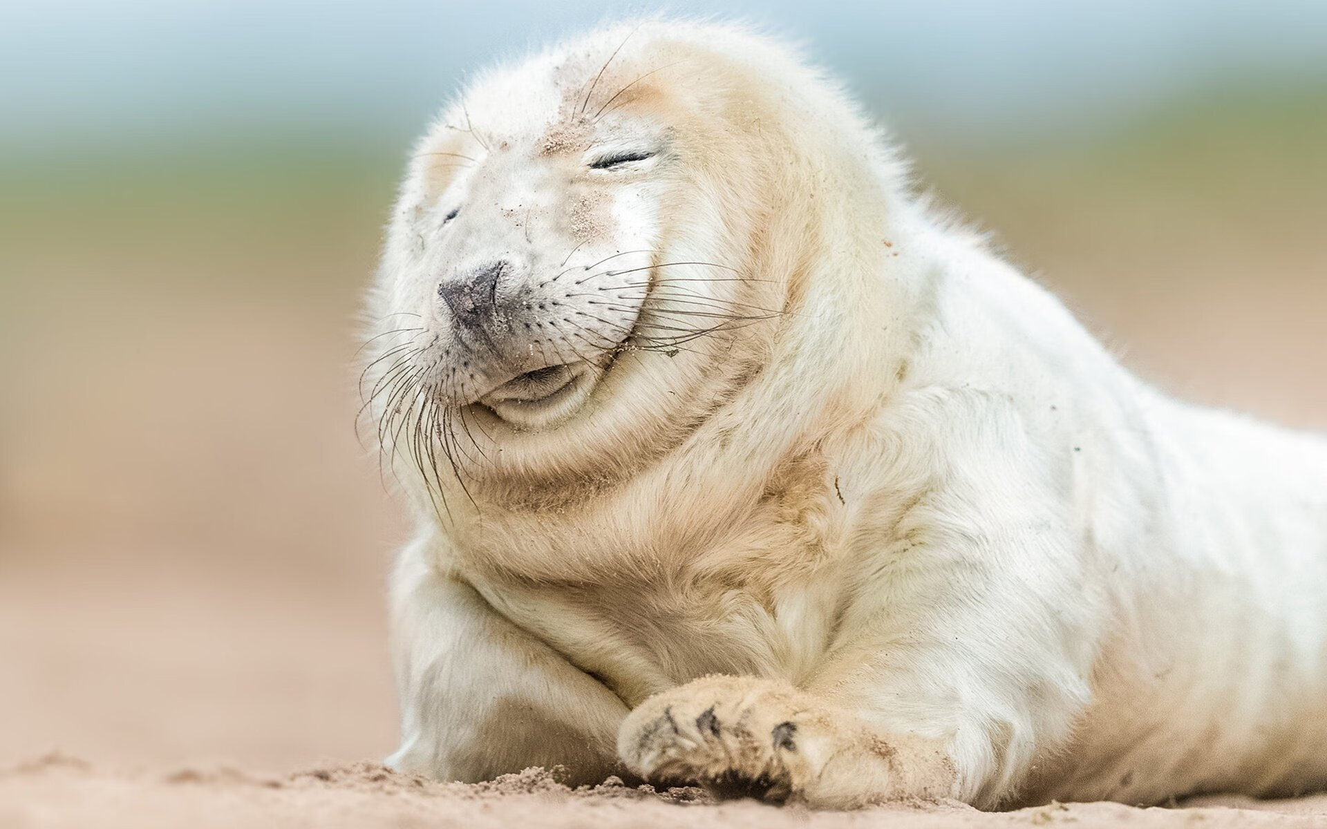 铁闸与权杖,金玟哉一夫当关,年度焦点之夜为他加冕