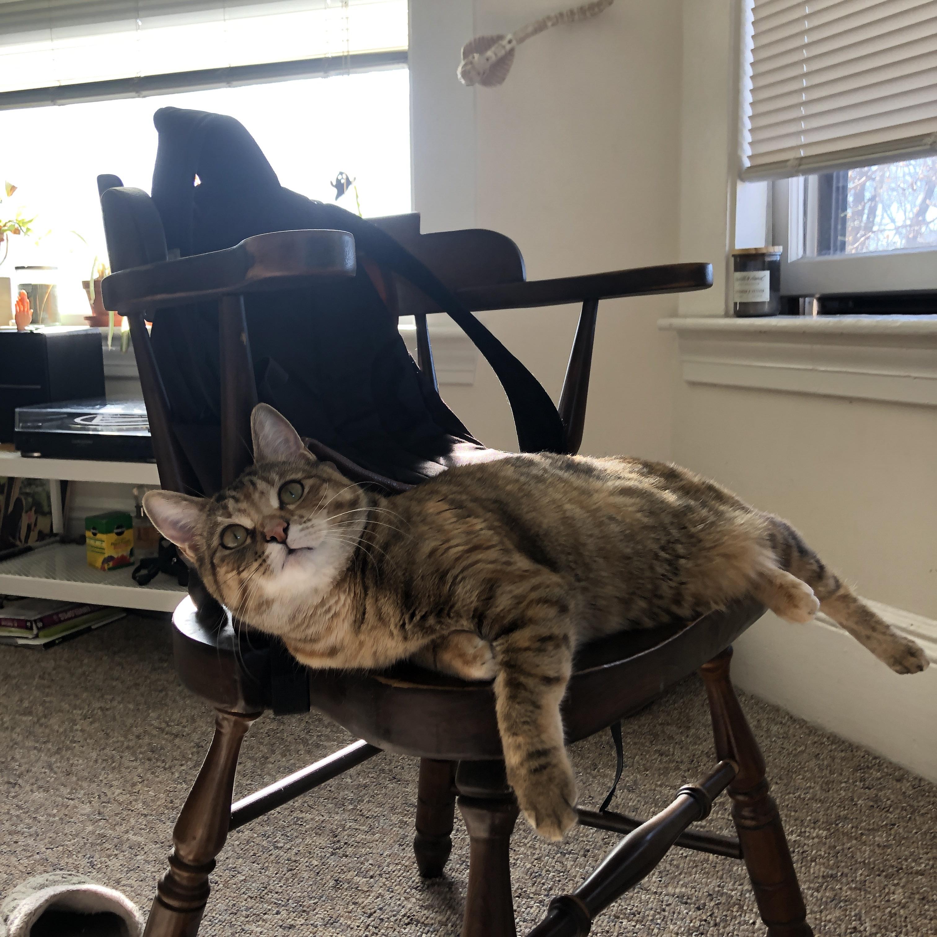 草原牛仔掀翻巴黎铁塔,布鲁诺·费尔南德斯如何化身乌拉圭关键先生