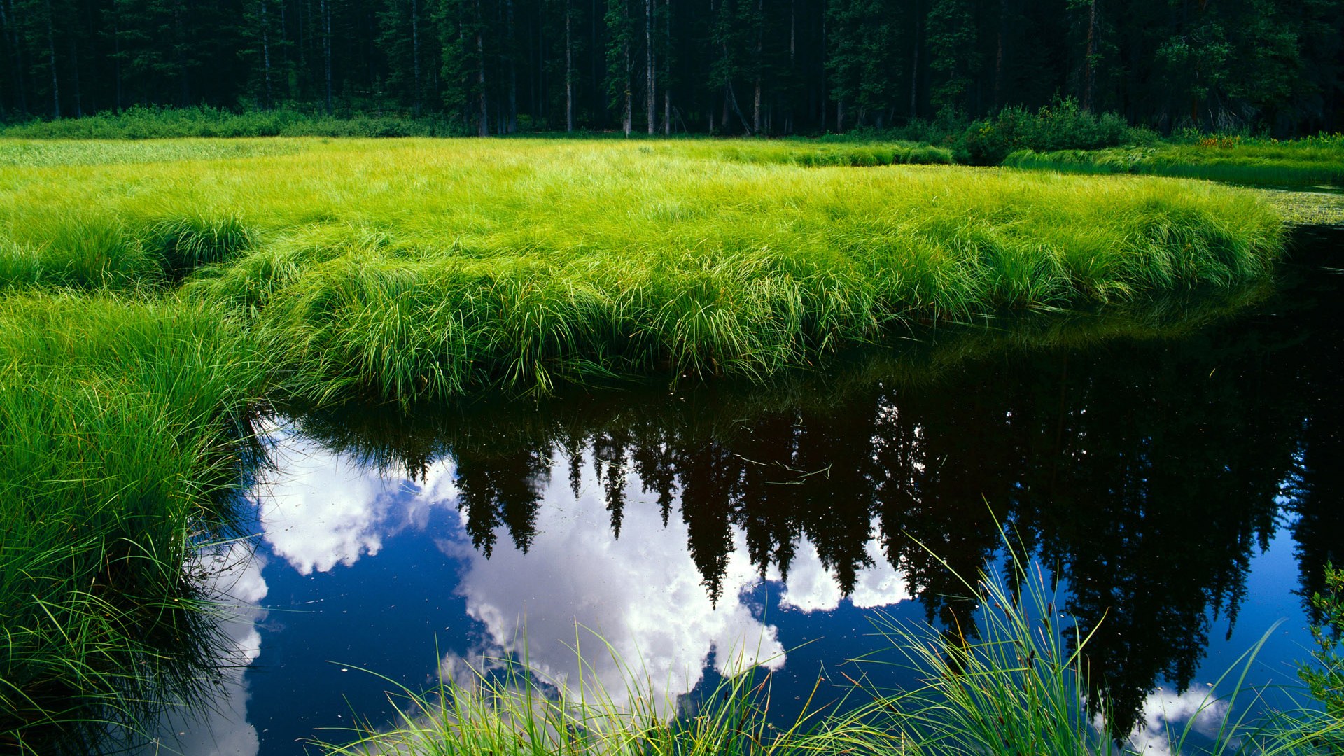 在变革之海中，他是唯一的常数，西亚卡姆的稳定输出如何成为公牛破浪的压舱石