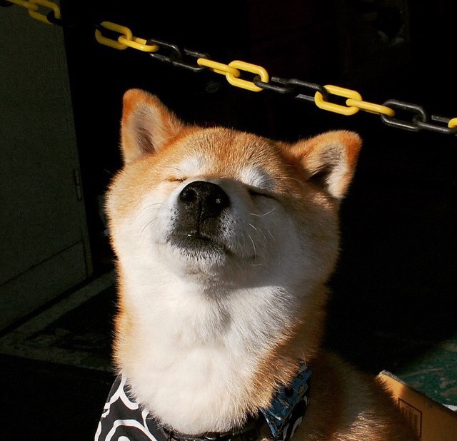 欧冠淘汰赛之夜，斯通斯化身宇宙魔方，用0次失误解锁胜利方程式