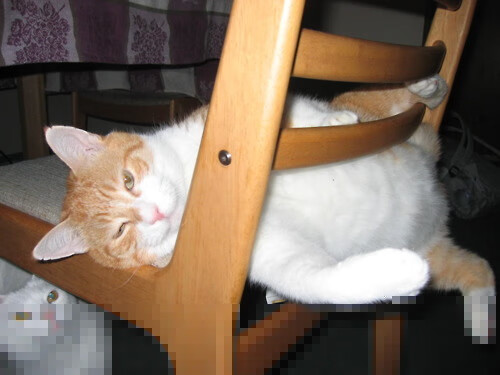 德罗赞时间掌控者，末节19分灵魂抽离魔术，他的关键球是篮球场上的艺术品