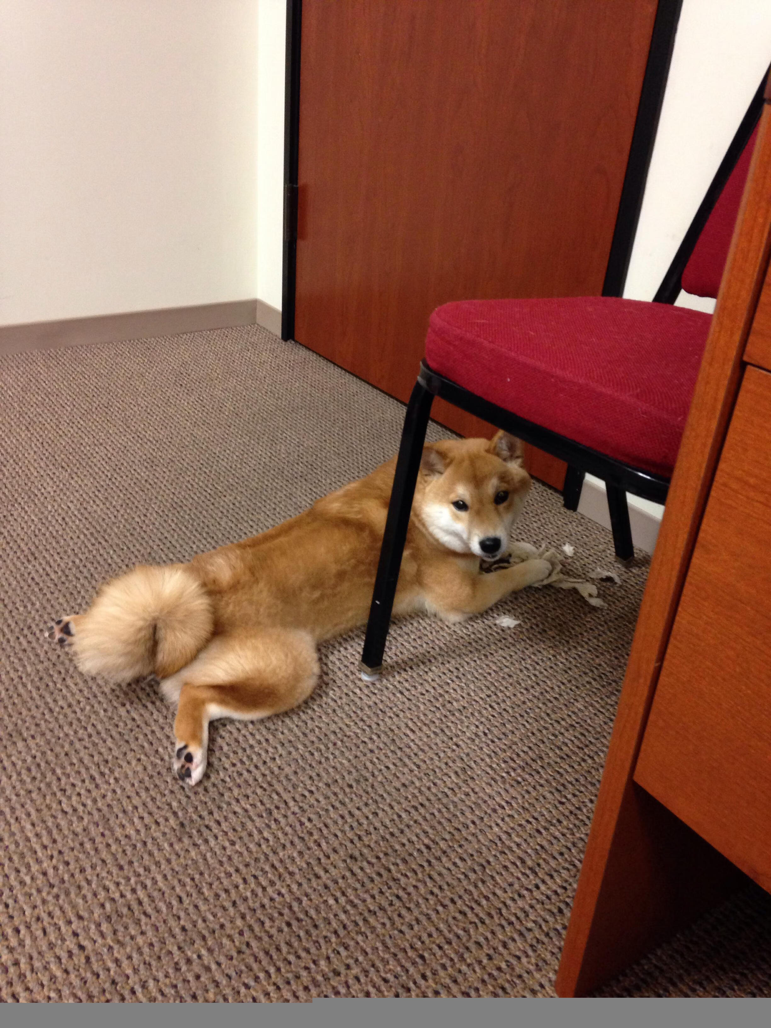 西甲国家德比之夜，奥亚尔萨瓦尔在星光之外完成救赎