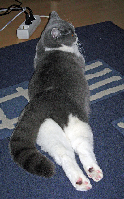 西甲国家德比血色战场，19岁文班亚马末节15分青出于蓝