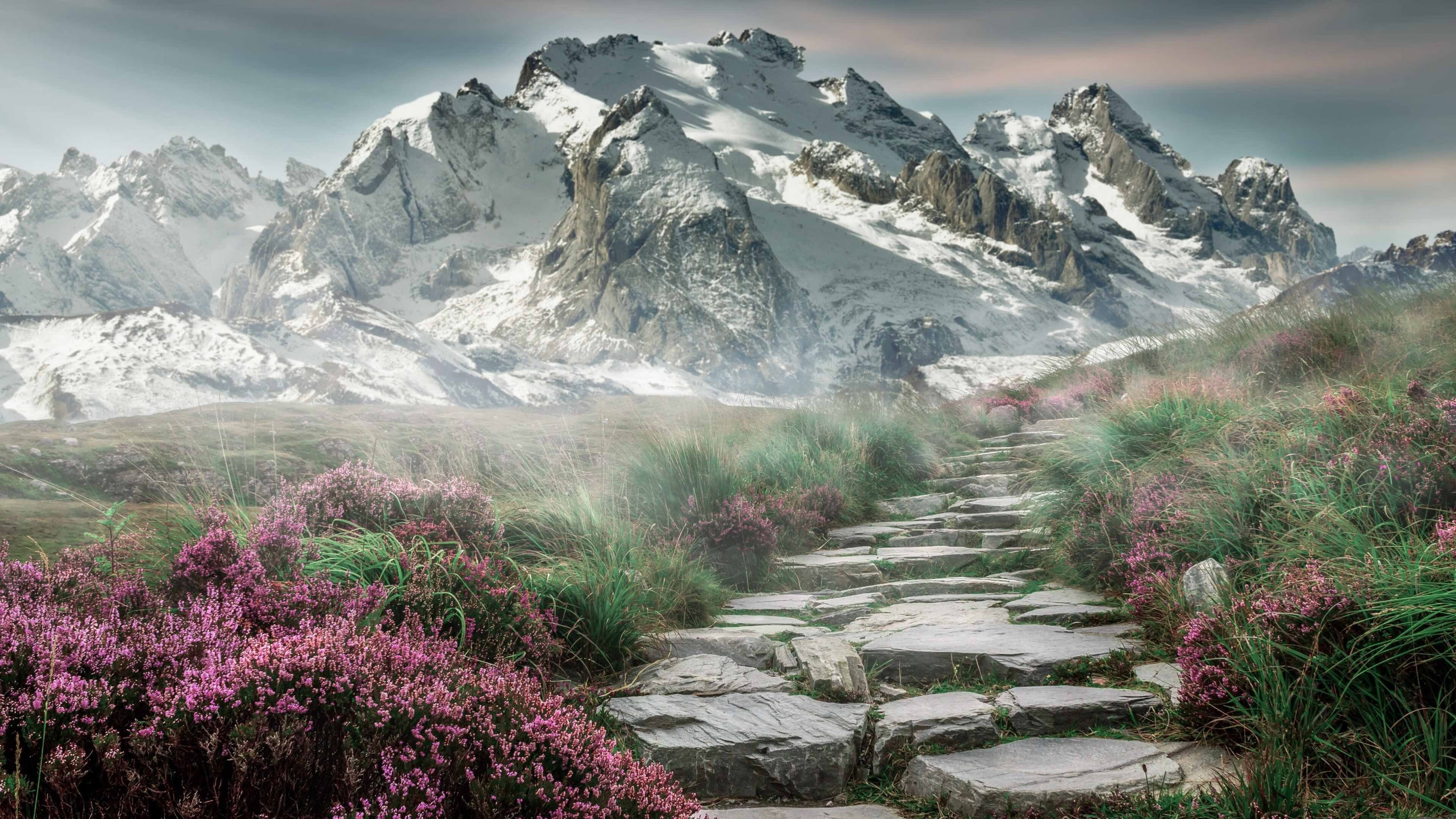 指挥家东契奇，他用一场交响乐，让马刺听见新时代的轰鸣