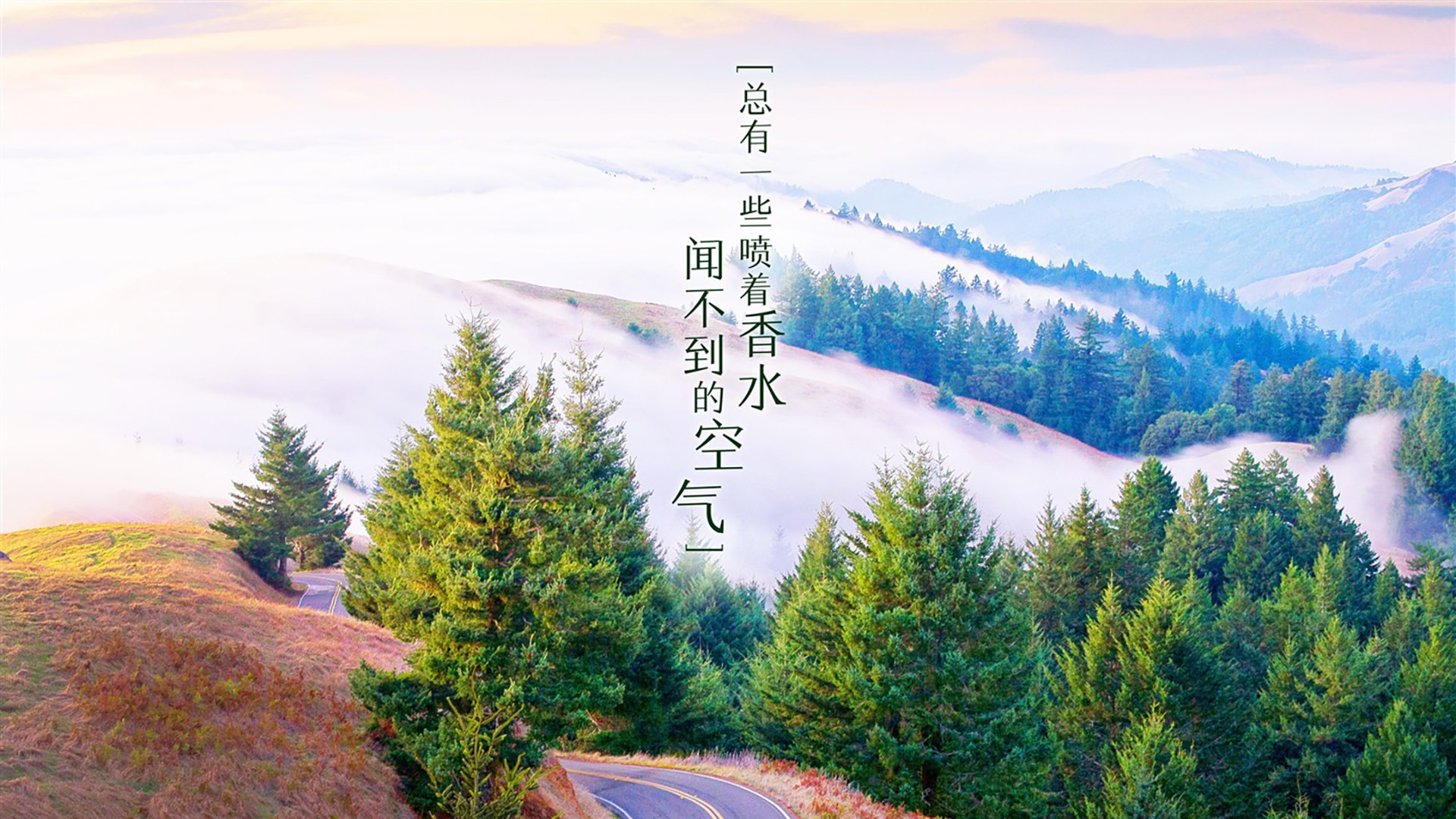铁闸镇雄关,拉亚以一敌百,摩纳哥难越雷池一步