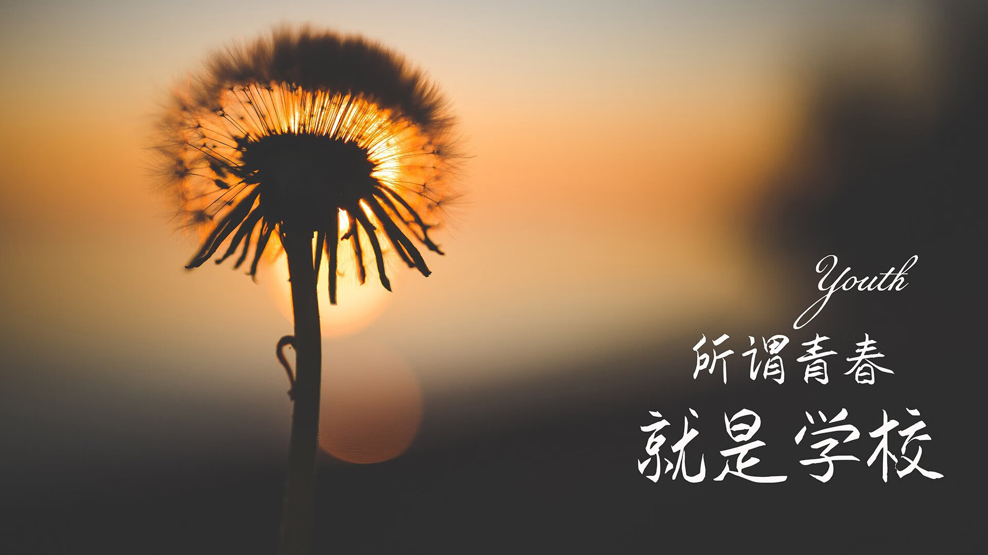 孤星坠落前的狂欢,当哥伦比亚用蓝黑潮汐淹没非洲雄狮
