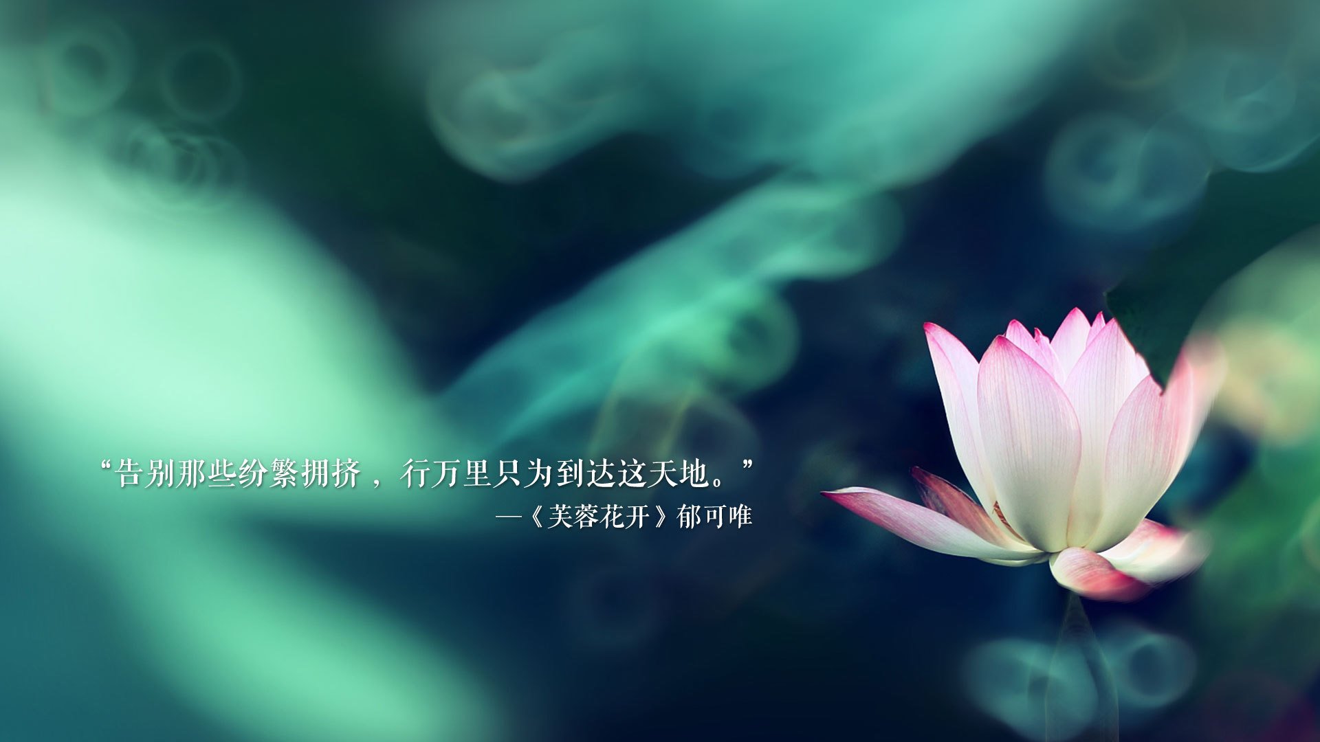 唯一性的悖论,当澳大利亚大胜日本与托纳利带队取胜在2026年世界杯D组同时成真