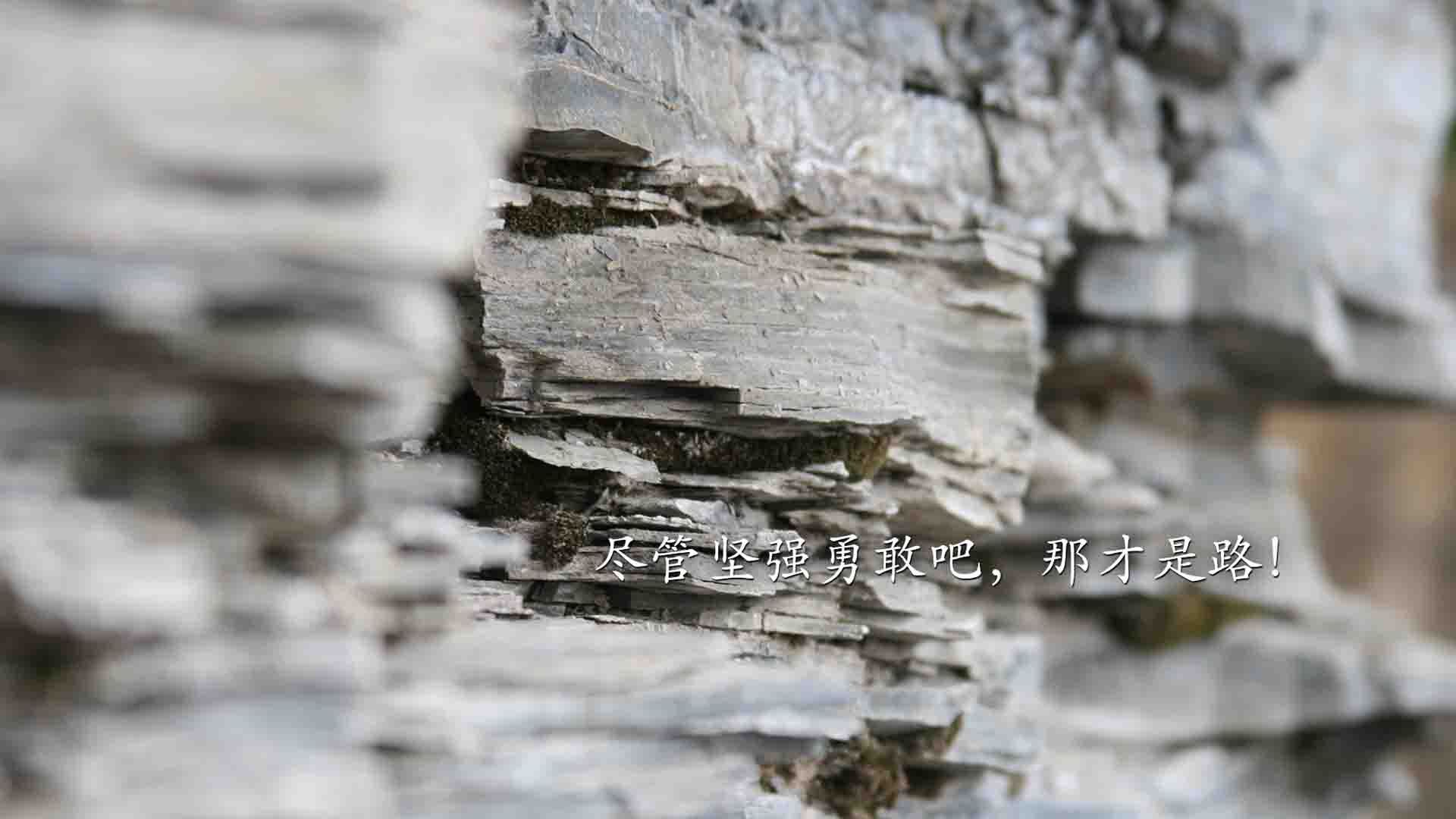 沙漠风暴席卷北欧神话，2026世界杯B组，一场唯一的颠覆与默契的凯歌
