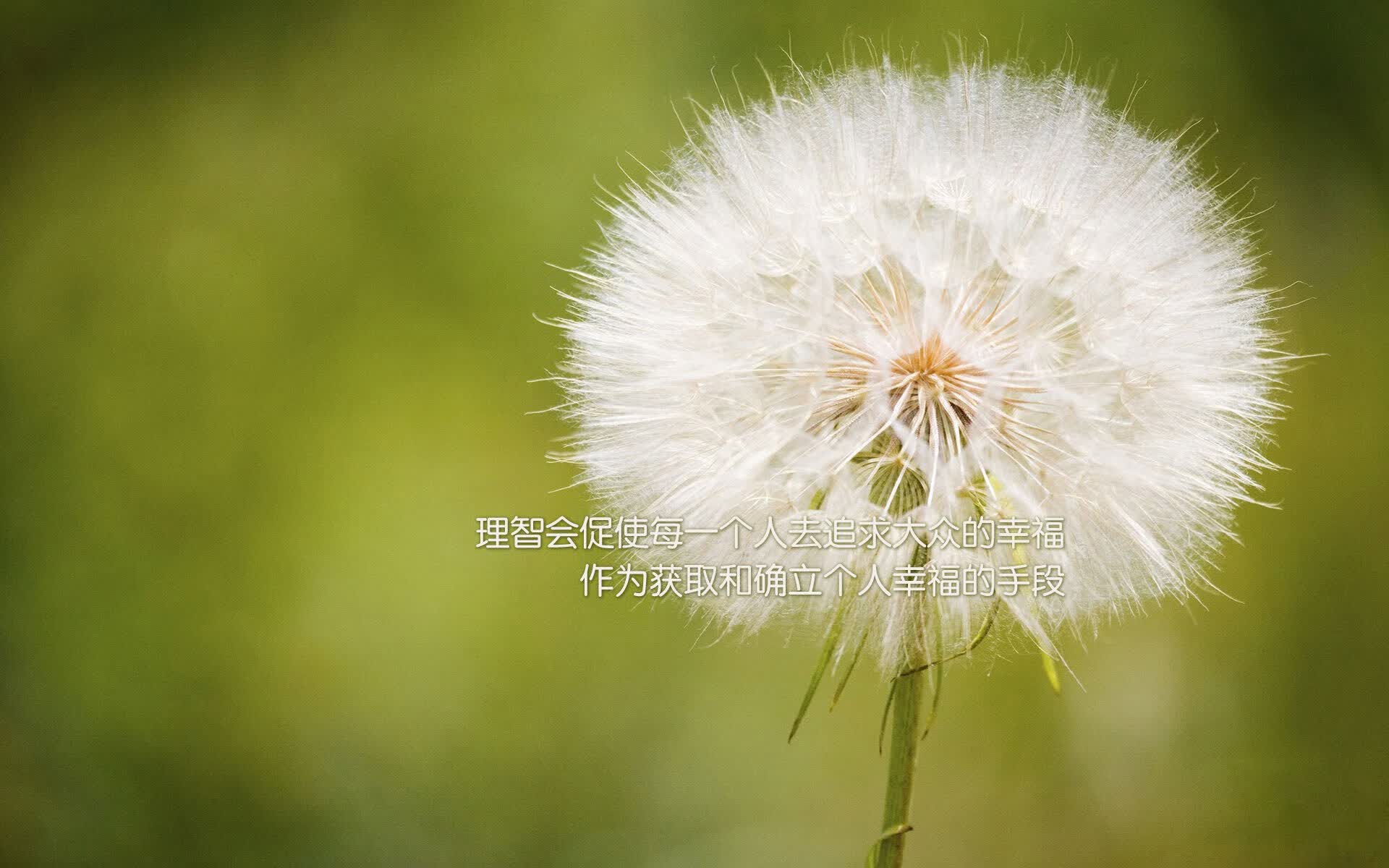 开云体育APP下载-解锁冰与沙的公式，当阿诺德的长传成为唯一撕开乌兹别克斯坦铁幕的密钥