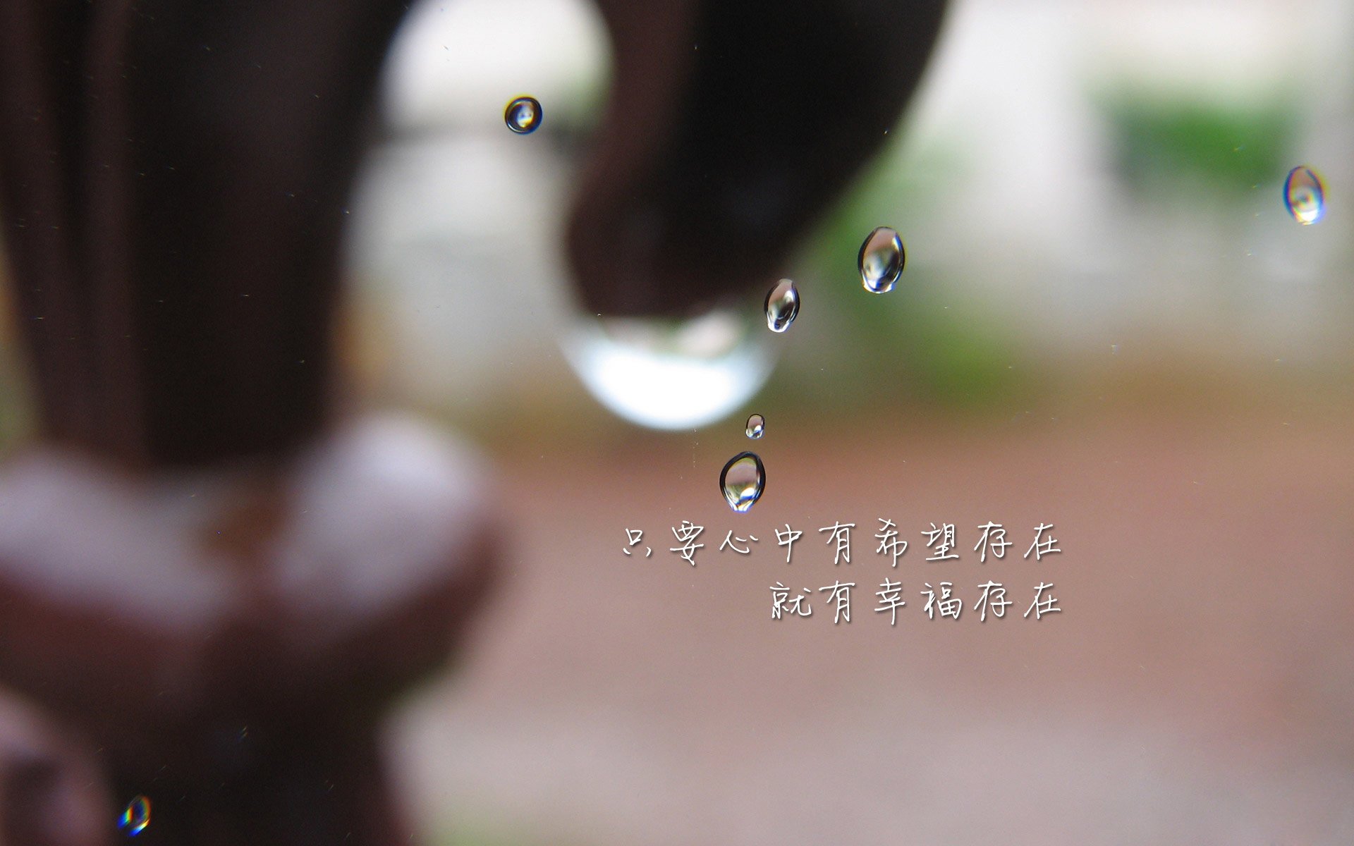 沙漠之狐的咆哮,2026世界杯C组唯一神迹,突尼斯如何用非典型碾压改写历史,卢卡库化身禁区之王